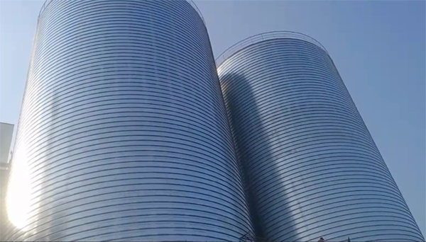 陵水2座混凝土高架卷板仓